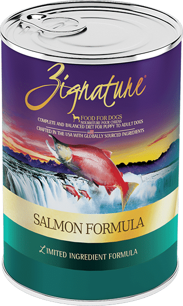 Zignature Salmon Can Dog 13 z