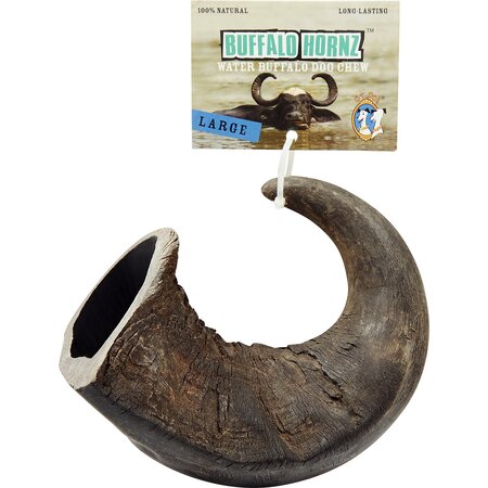 QT Dog Buffalo Hornz Large
