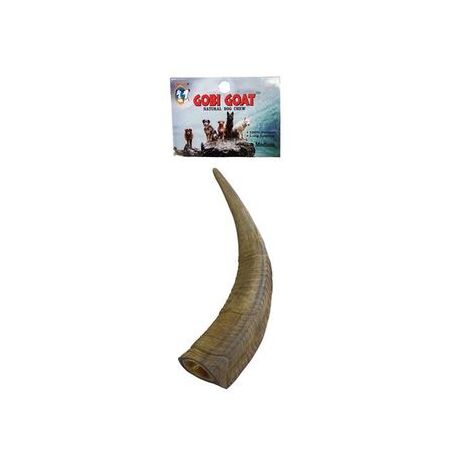 QT Dog Gobi Goat Horn Medium