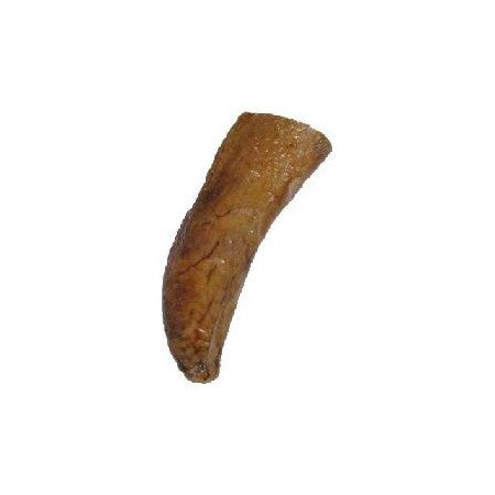 QT Dog Gobi Goat Horn Core Lg
