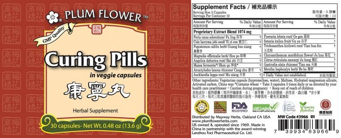 Plum Flower Curing Pills Kang Ning Wan 30 ct.