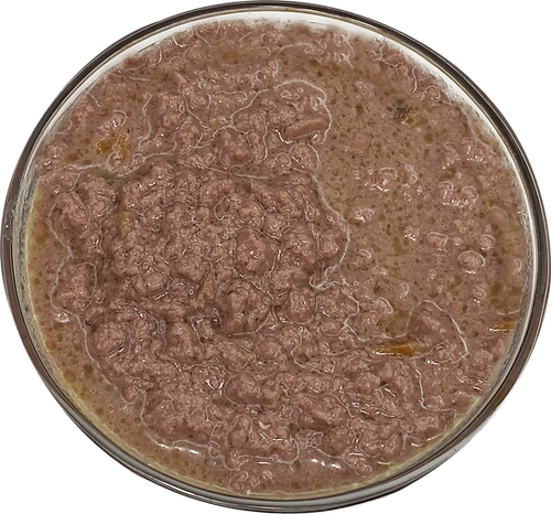 Dave's Dog Can Gravylicious Chicken & Salmon 12 oz