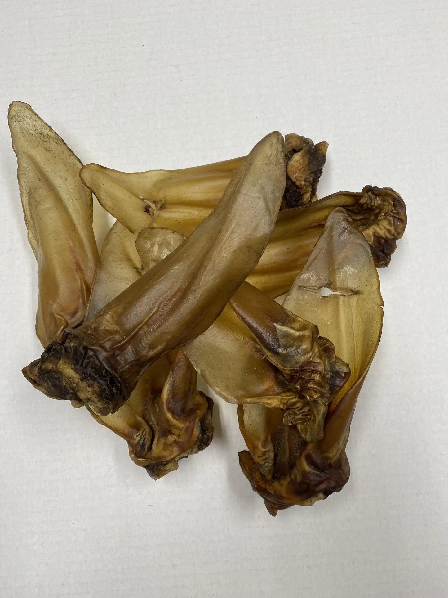 PPC Buffalo Ear Dog Treat
