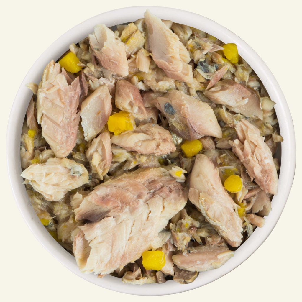 Weruva Cat Classic Can GF Mackerel & Pumpkin - Meow Luau 5.5 oz